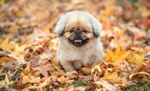 ガムが口臭に与える効果とは何ですか？