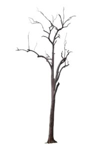 ガムで口臭を効果的に解消する方法は？