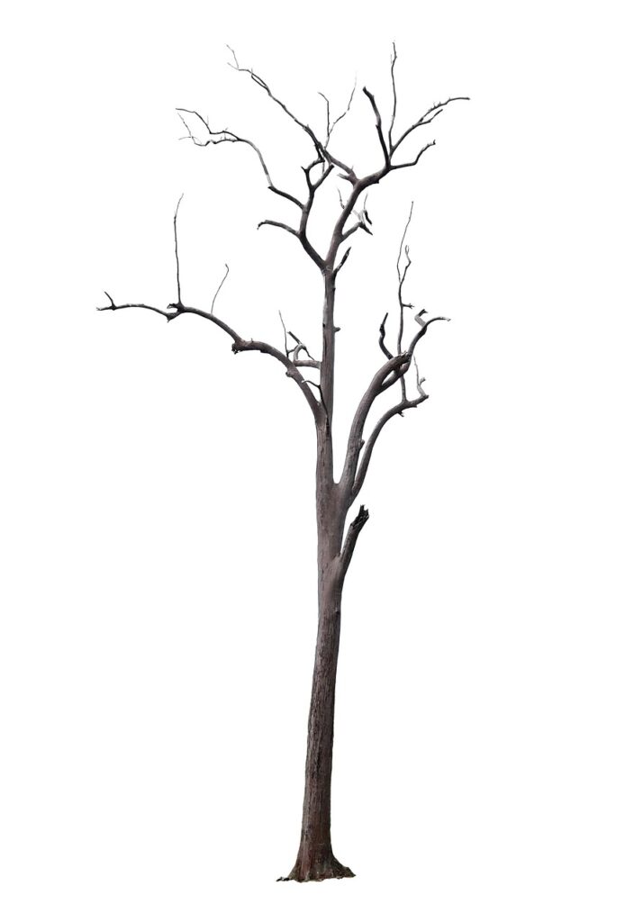 ガムで口臭を効果的に解消する方法は？