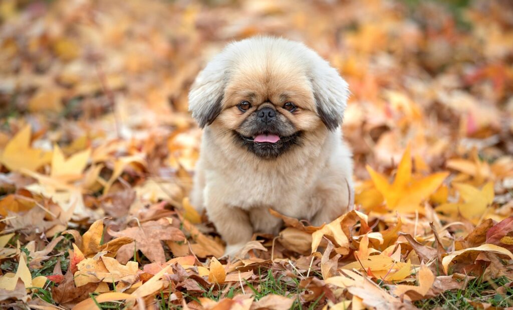 口臭ケアに最適なおすすめガムはどれ？