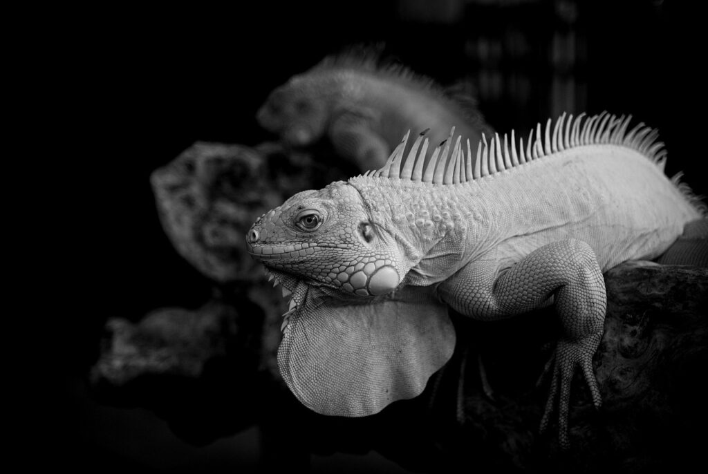 なぜ口臭が起こるのか、その原因と対策は？