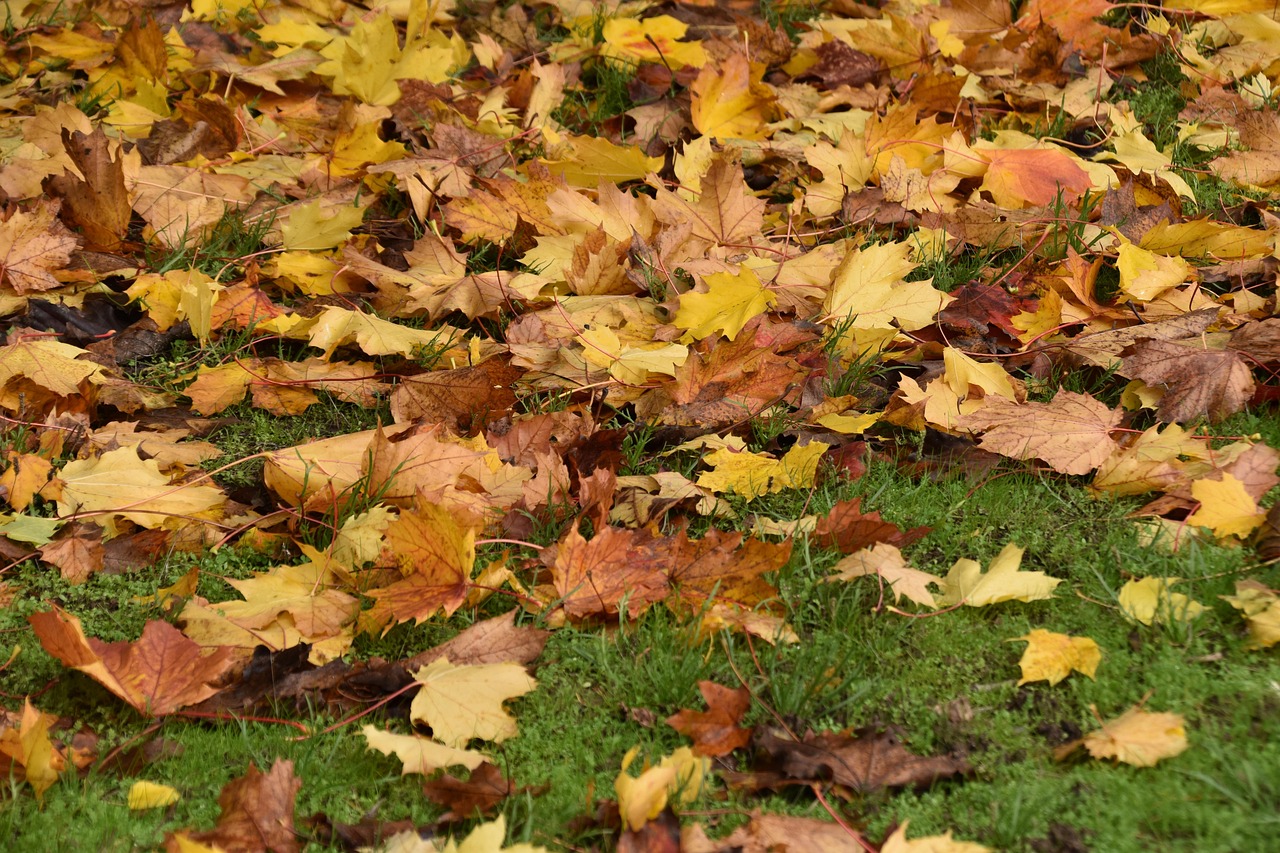 市販のマウスウォッシュを比較して選ぶべきポイントは？